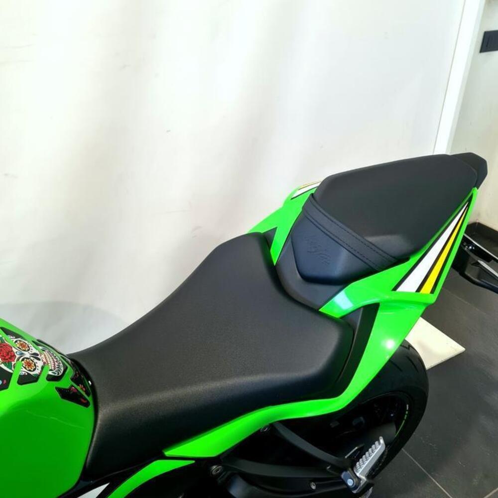 Kawasaki Ninja 636 ZX-6R (2024 - 26) (12)