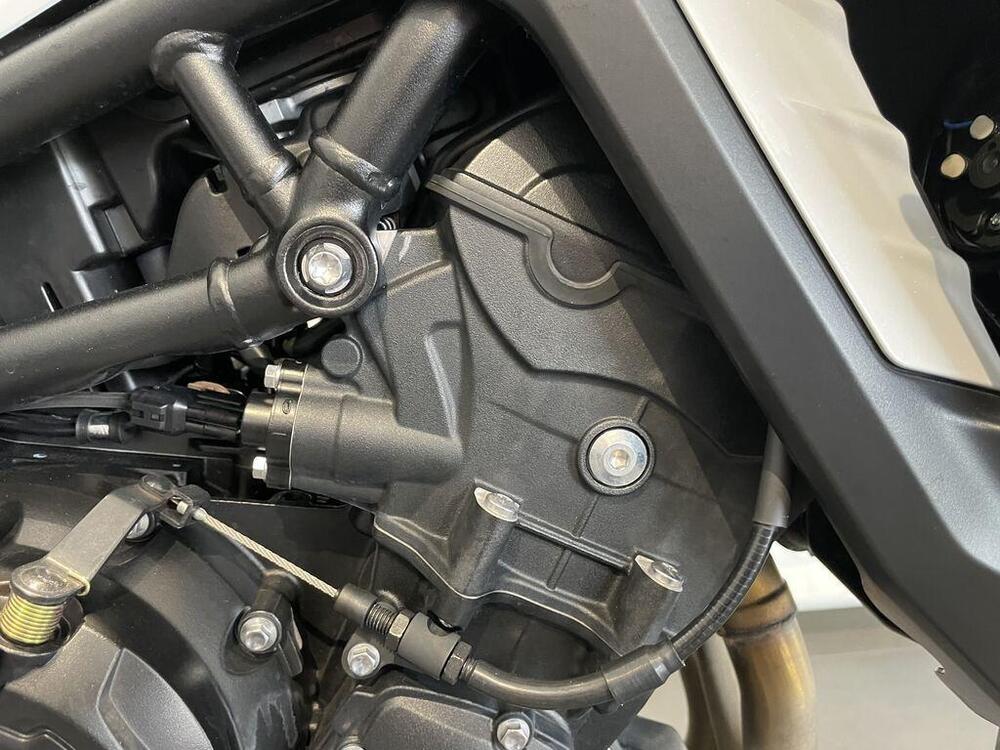 Triumph Tiger 900 GT Pro (2024 - 25) (13)