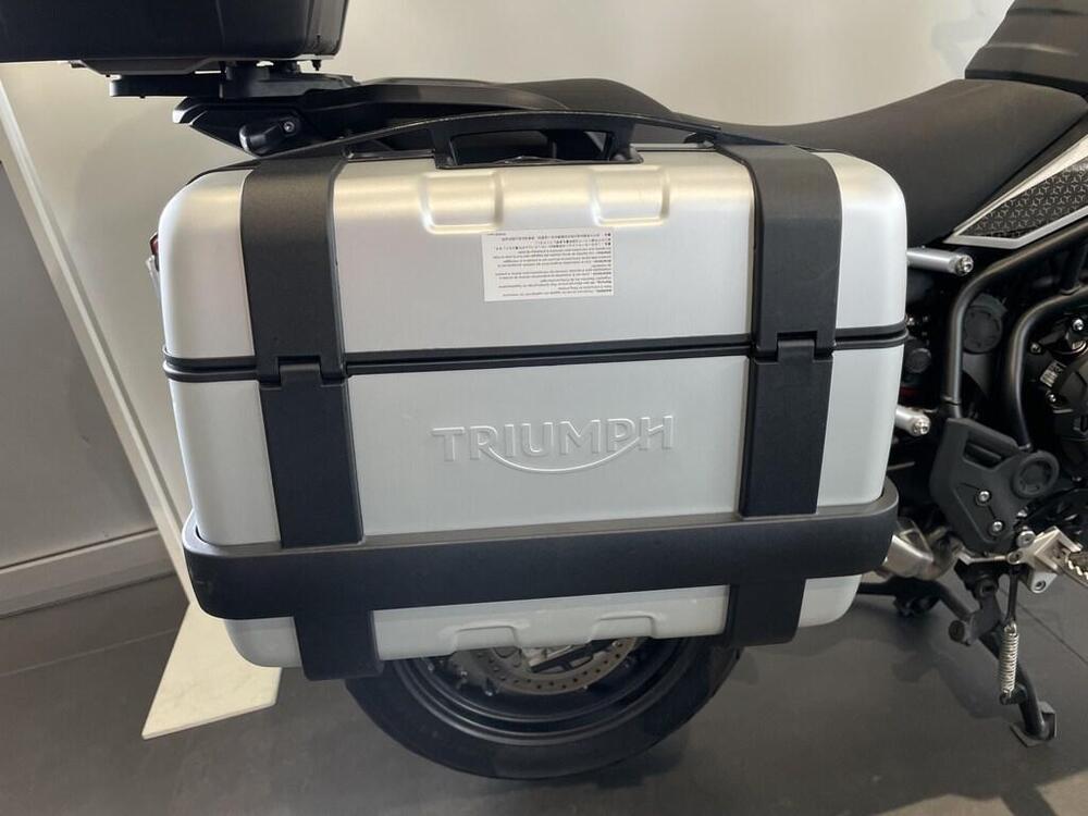 Triumph Tiger 900 GT Pro (2024 - 25) (6)