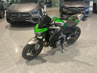 Kawasaki Z 900 Performance (2019) usata