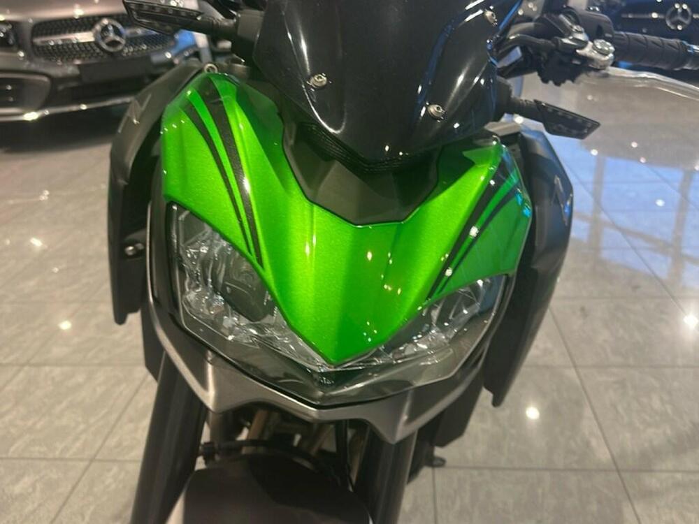 Kawasaki Z 900 Performance (2019) (10)