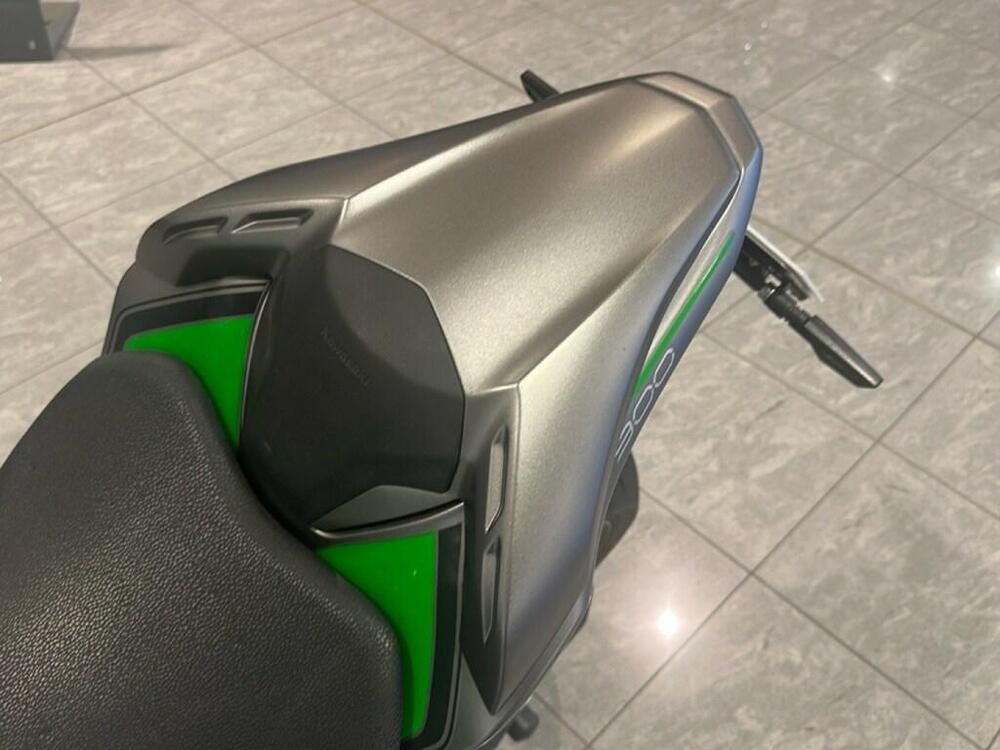 Kawasaki Z 900 Performance (2019) (11)