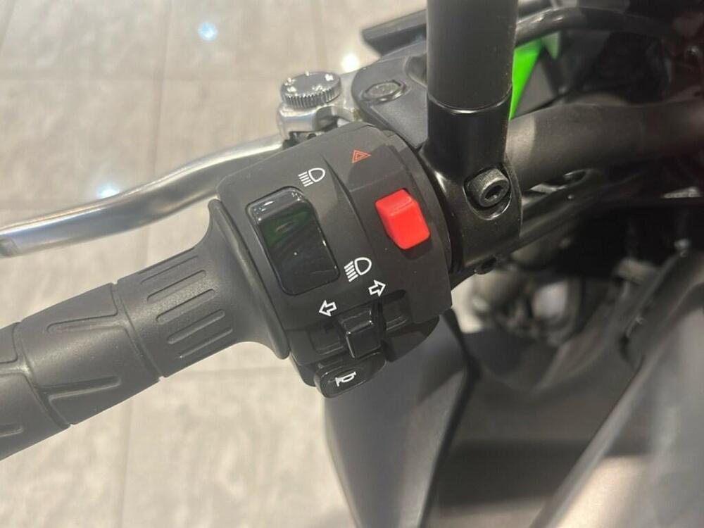 Kawasaki Z 900 Performance (2019) (15)