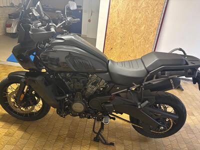 Harley-Davidson Pan America 1250 Special (2020 - 25) usata