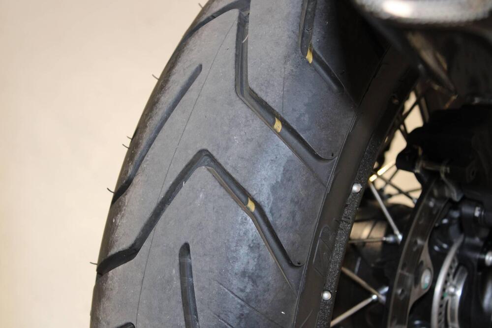 Bmw F 900 GS (2024 - 25) (11)