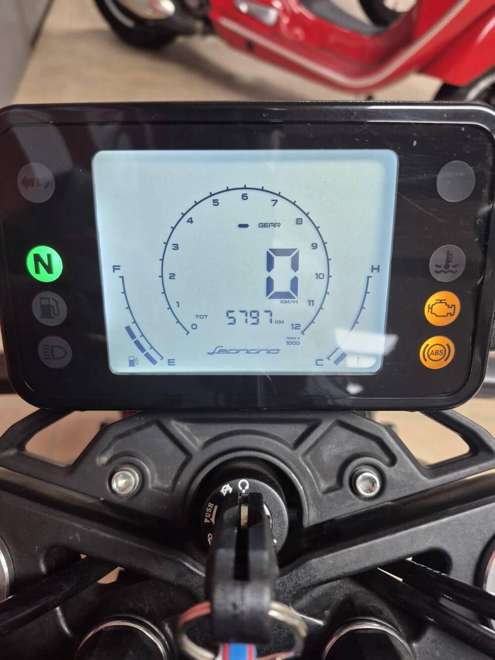 Benelli Leoncino 250 (2021 - 25) (2)