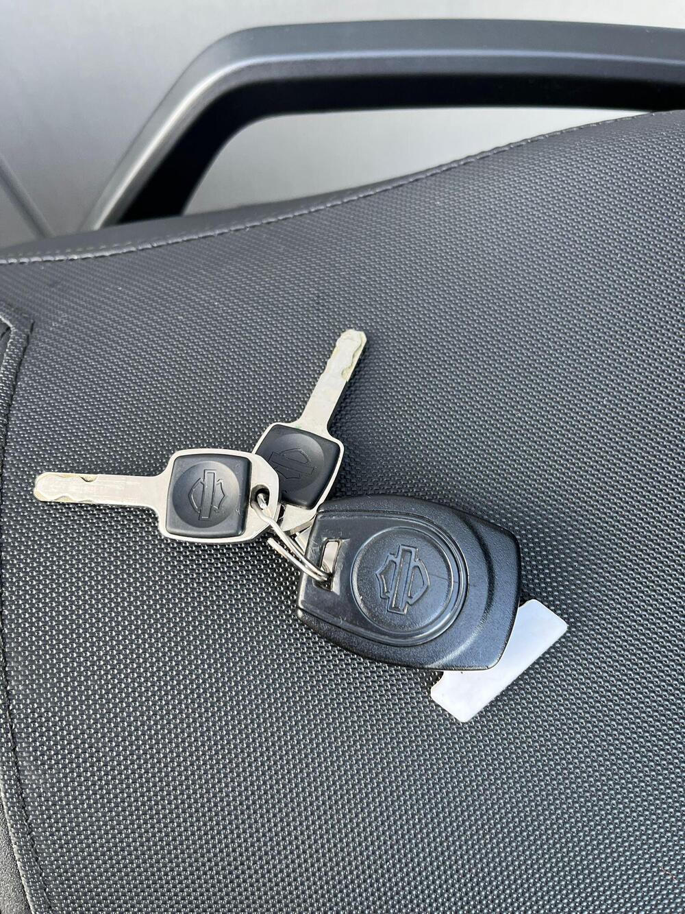 Harley-Davidson Pan America 1250 Special (2020 - 25) (21)