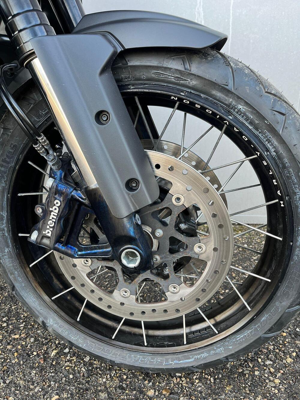 Harley-Davidson Pan America 1250 Special (2020 - 25) (4)