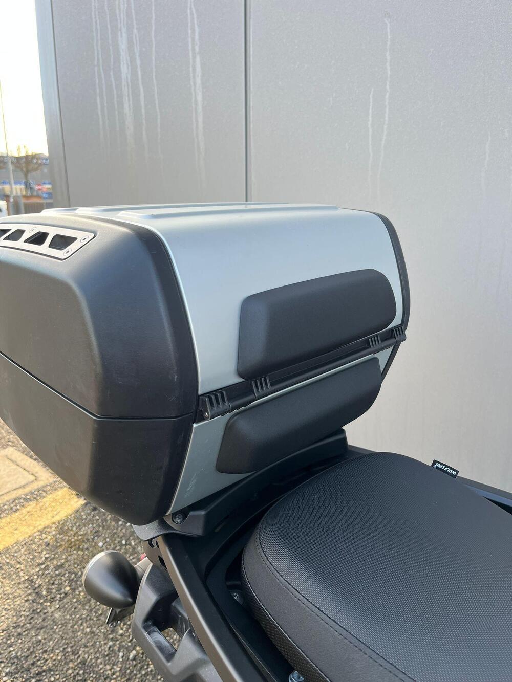 Harley-Davidson Pan America 1250 Special (2020 - 25) (15)