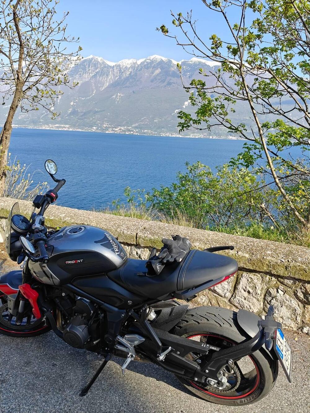 Triumph Trident 660 (2021 - 24)