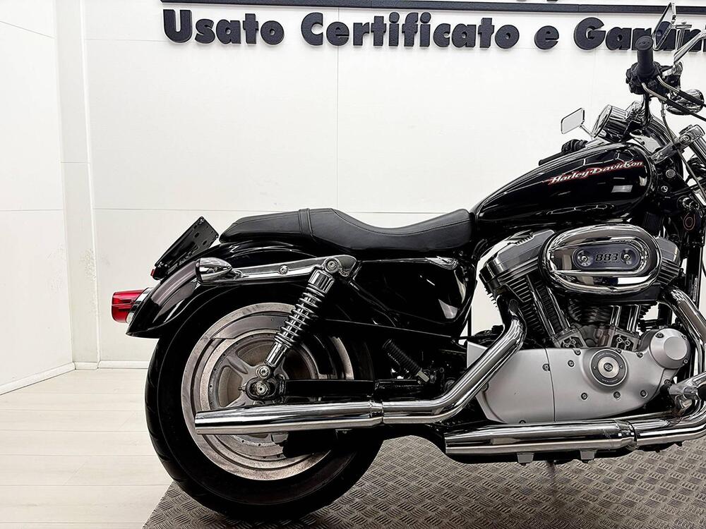 Harley-Davidson 883 Custom (2006 - 07) - XL 883C (7)