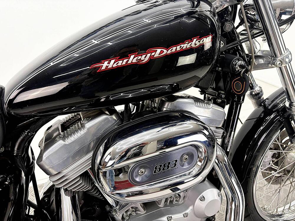 Harley-Davidson 883 Custom (2006 - 07) - XL 883C (10)