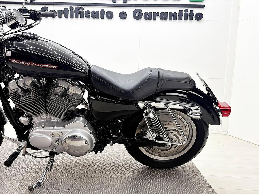 Harley-Davidson 883 Custom (2006 - 07) - XL 883C (17)