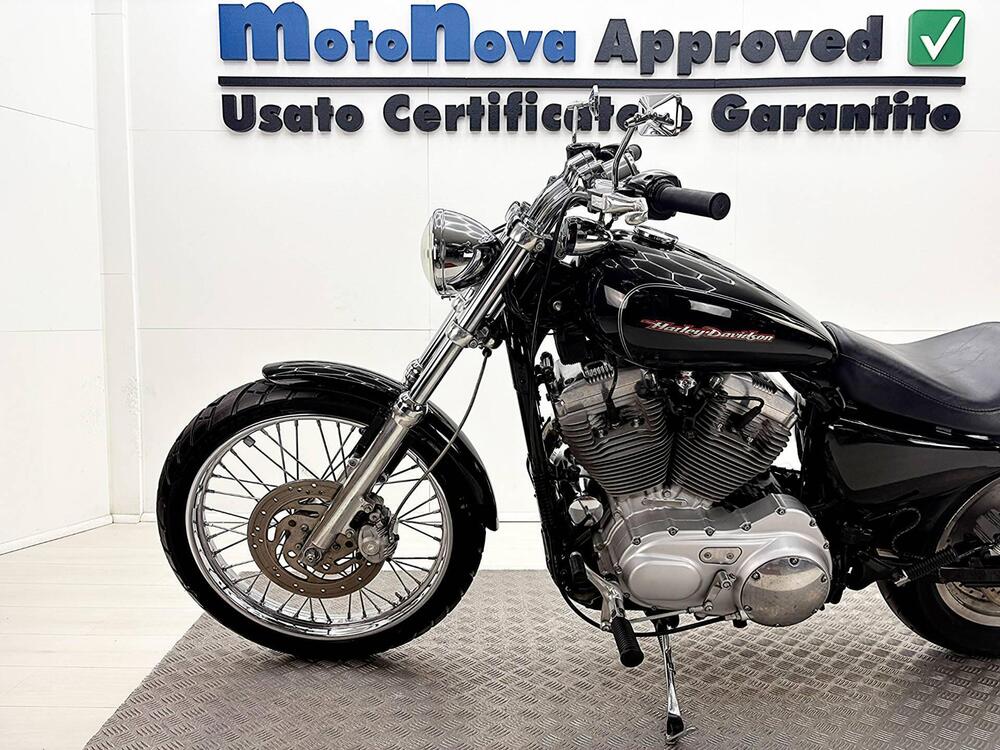 Harley-Davidson 883 Custom (2006 - 07) - XL 883C (15)