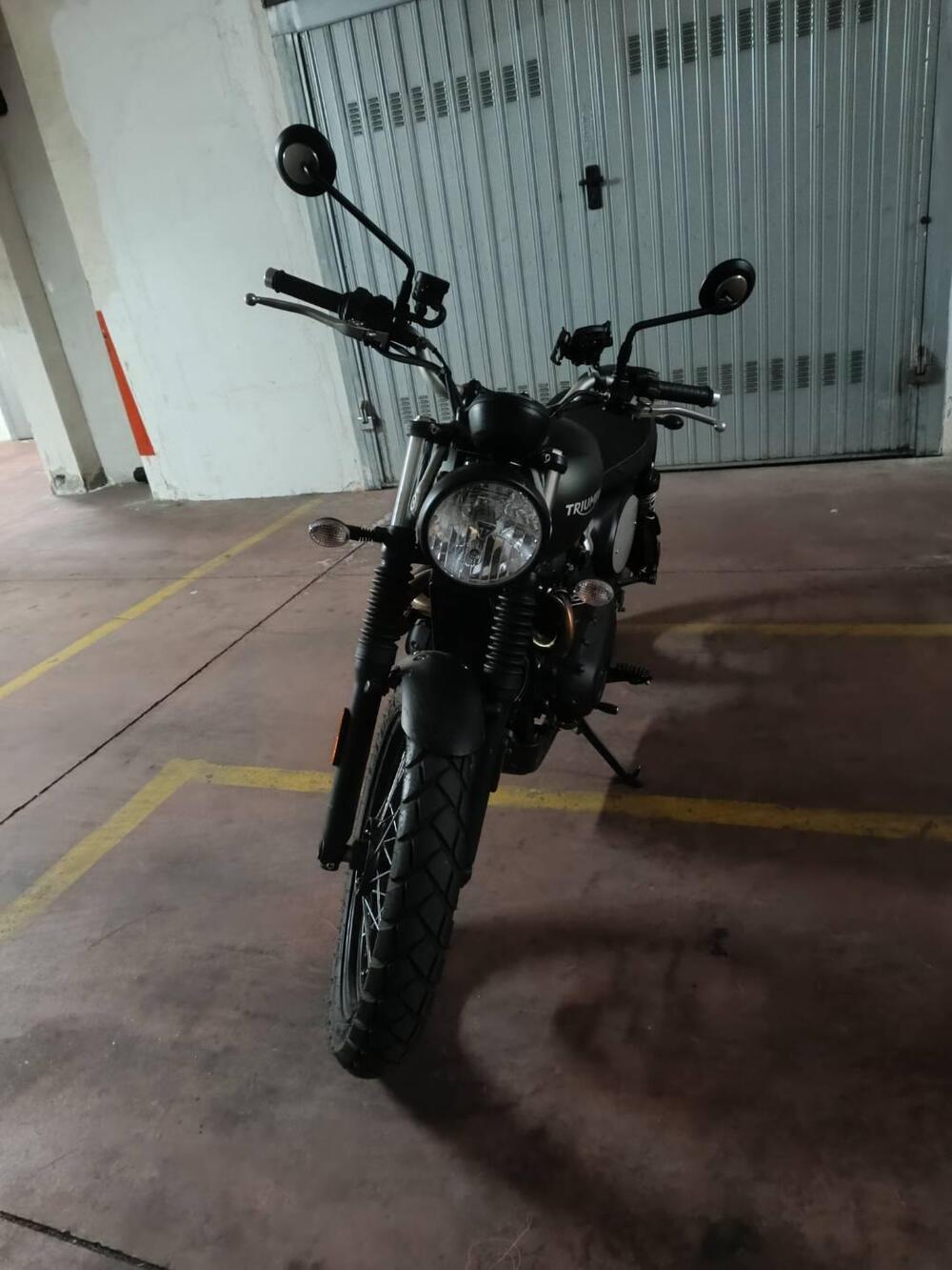 Triumph Scrambler 900 (2023 - 25)