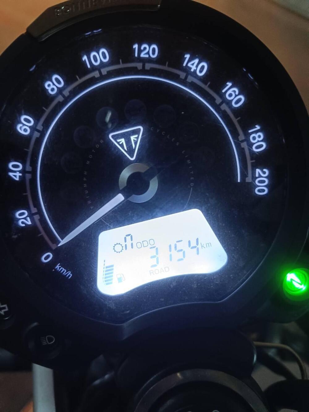 Triumph Scrambler 900 (2023 - 25) (4)