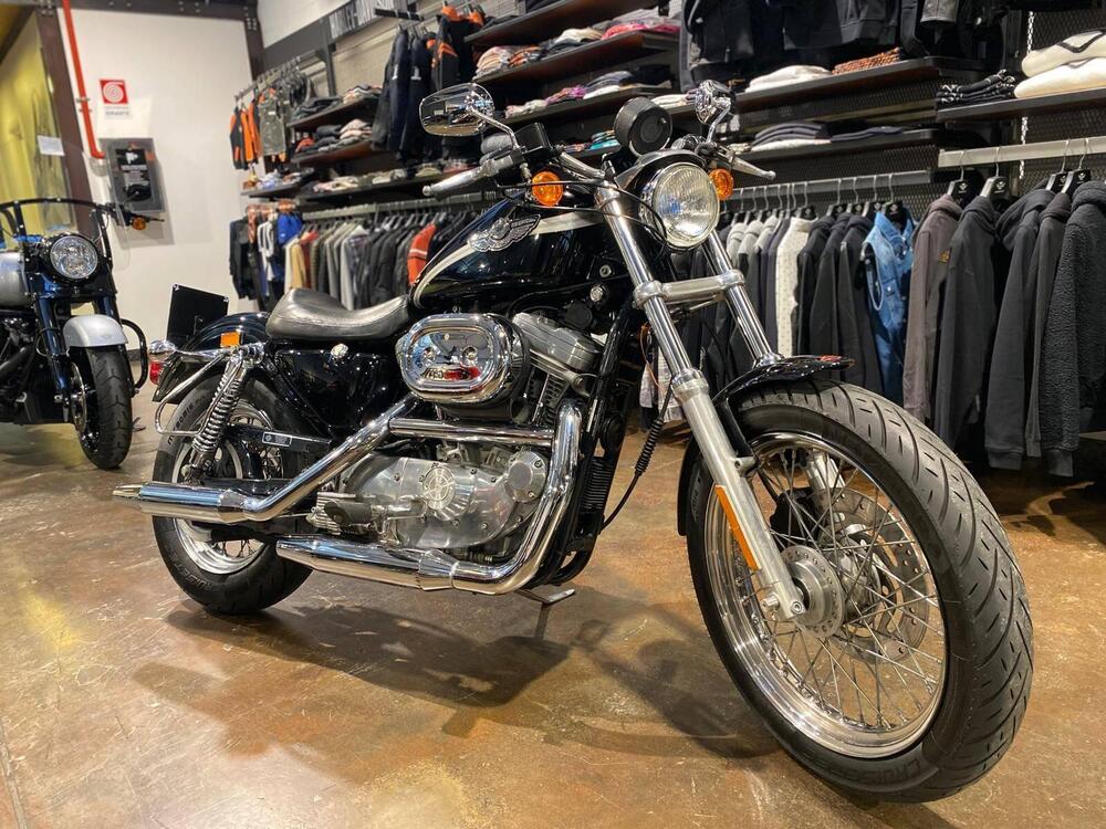 Harley-Davidson 883 Custom (2001 - 05) - XL 53C (2)