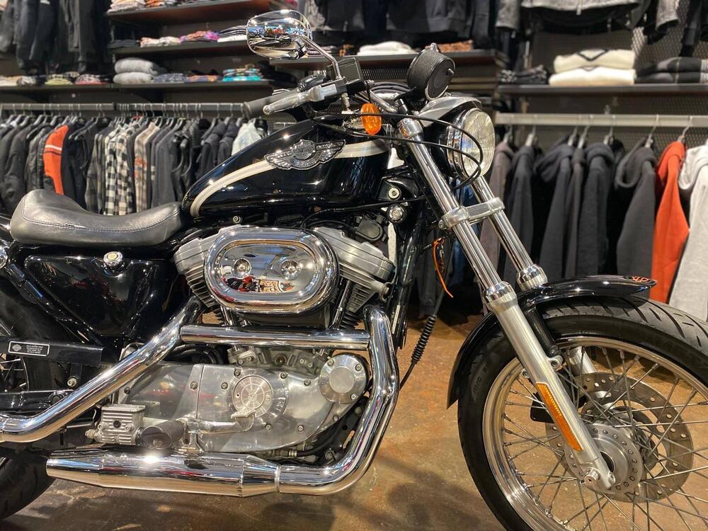 Harley-Davidson 883 Custom (2001 - 05) - XL 53C (3)