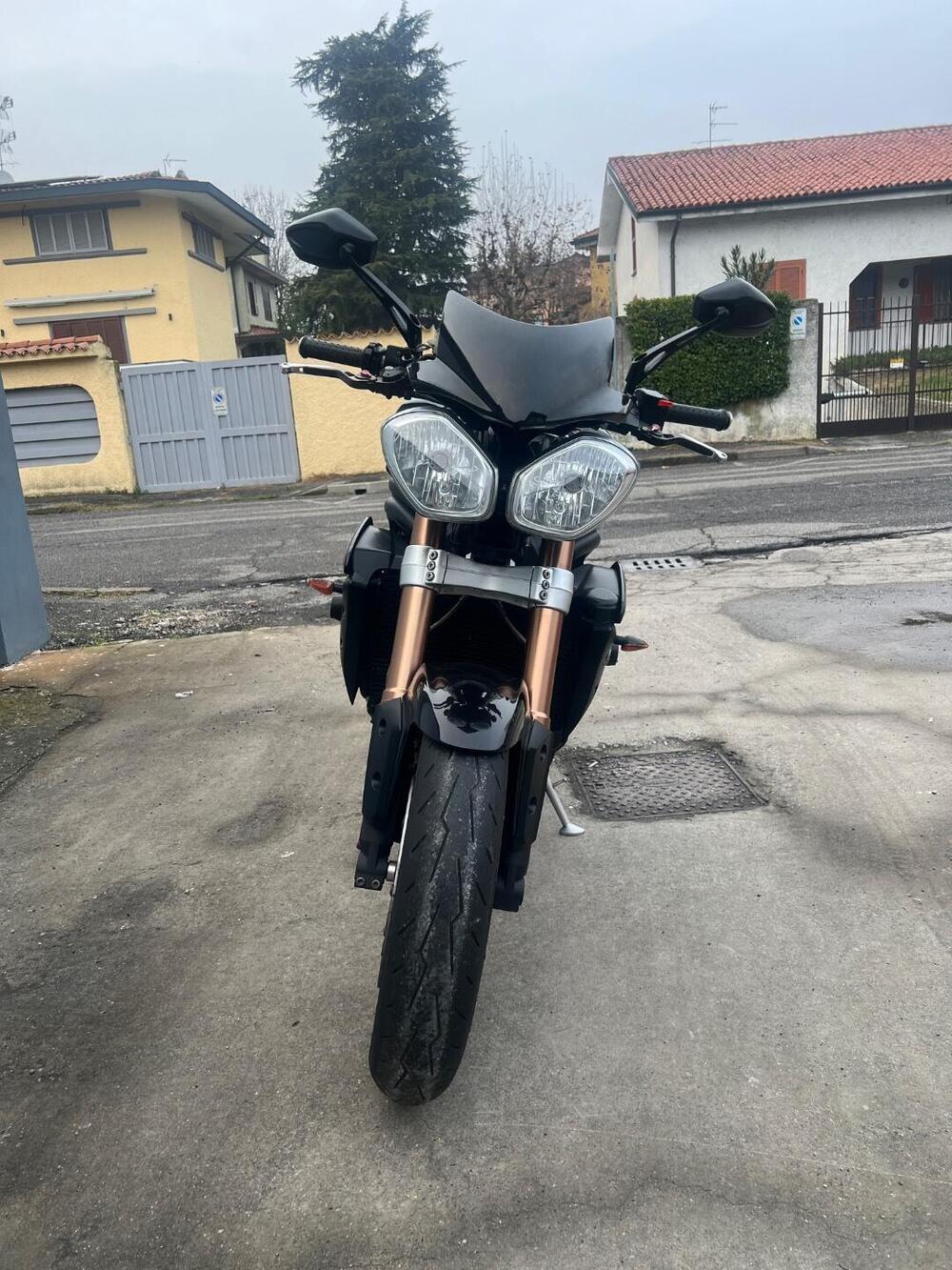 Triumph Speed Triple 1050 ABS (2011 - 15) (3)