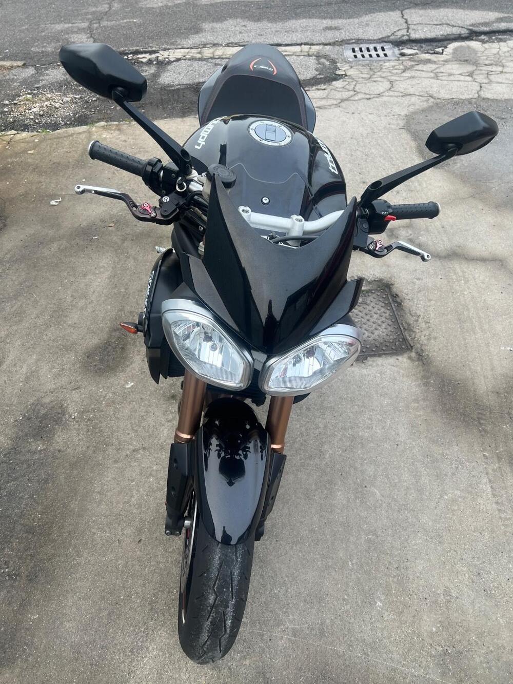 Triumph Speed Triple 1050 ABS (2011 - 15) (6)