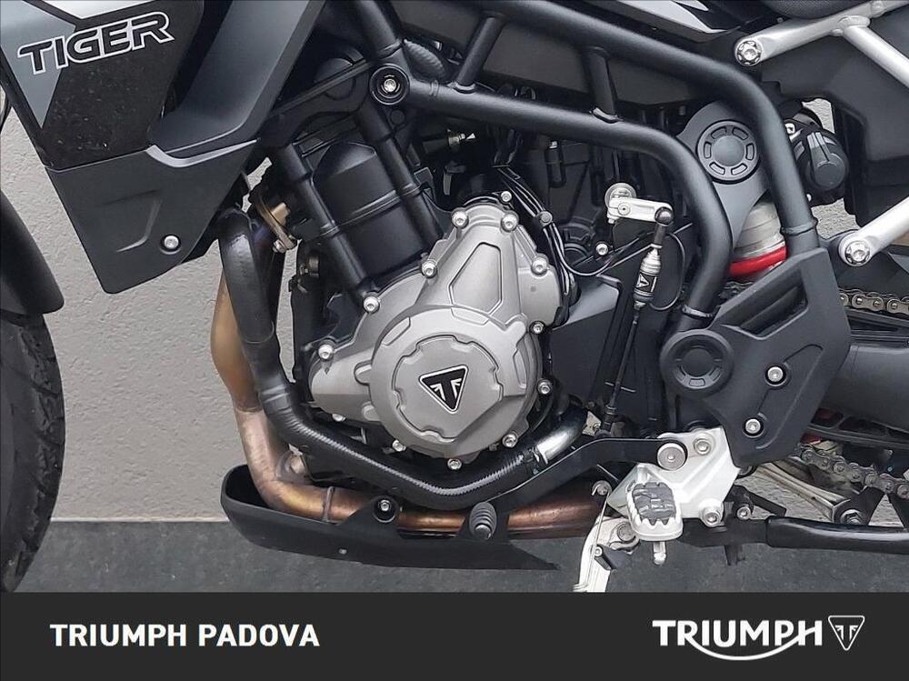 Triumph Tiger 900 GT Pro (2020 - 23) (3)