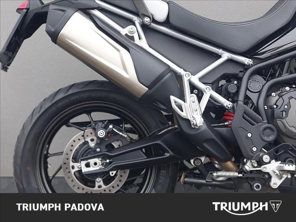 Triumph Tiger 900 GT Pro (2020 - 23) (7)