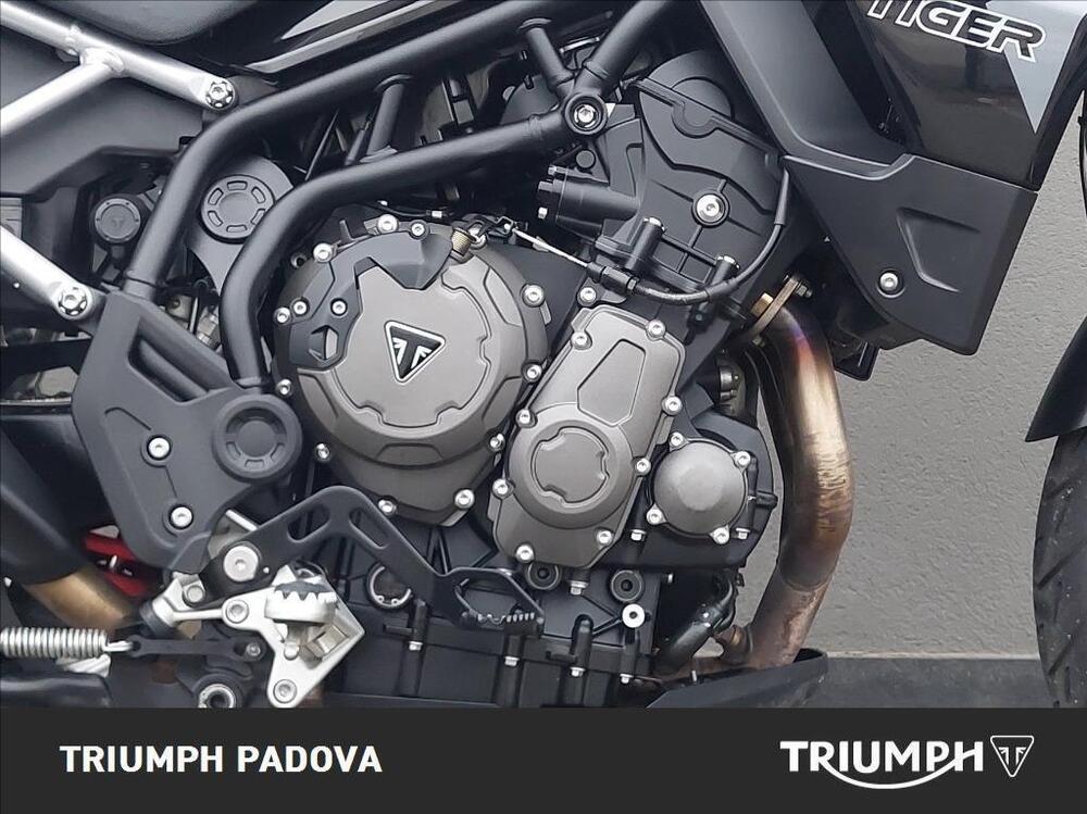 Triumph Tiger 900 GT Pro (2020 - 23) (8)