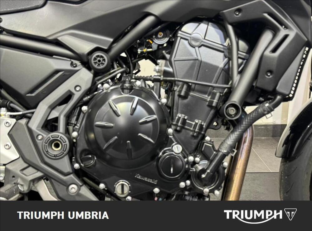 Kawasaki Z 650 (2021 - 24) (3)