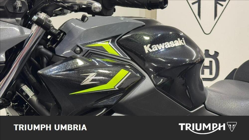 Kawasaki Z 650 (2021 - 24) (12)