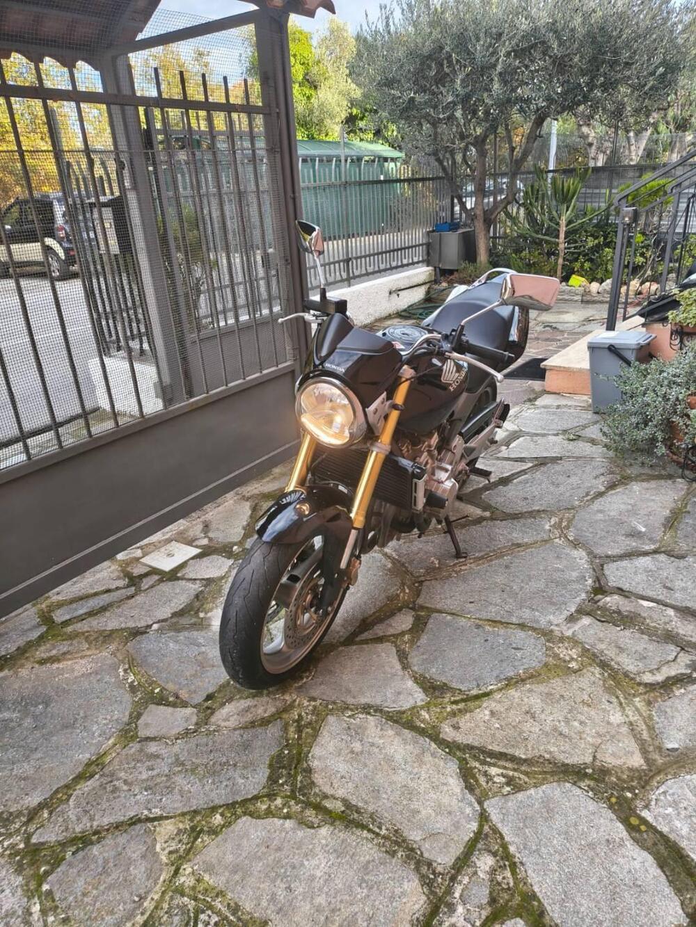 Honda Hornet 600 (2005 - 06) (2)