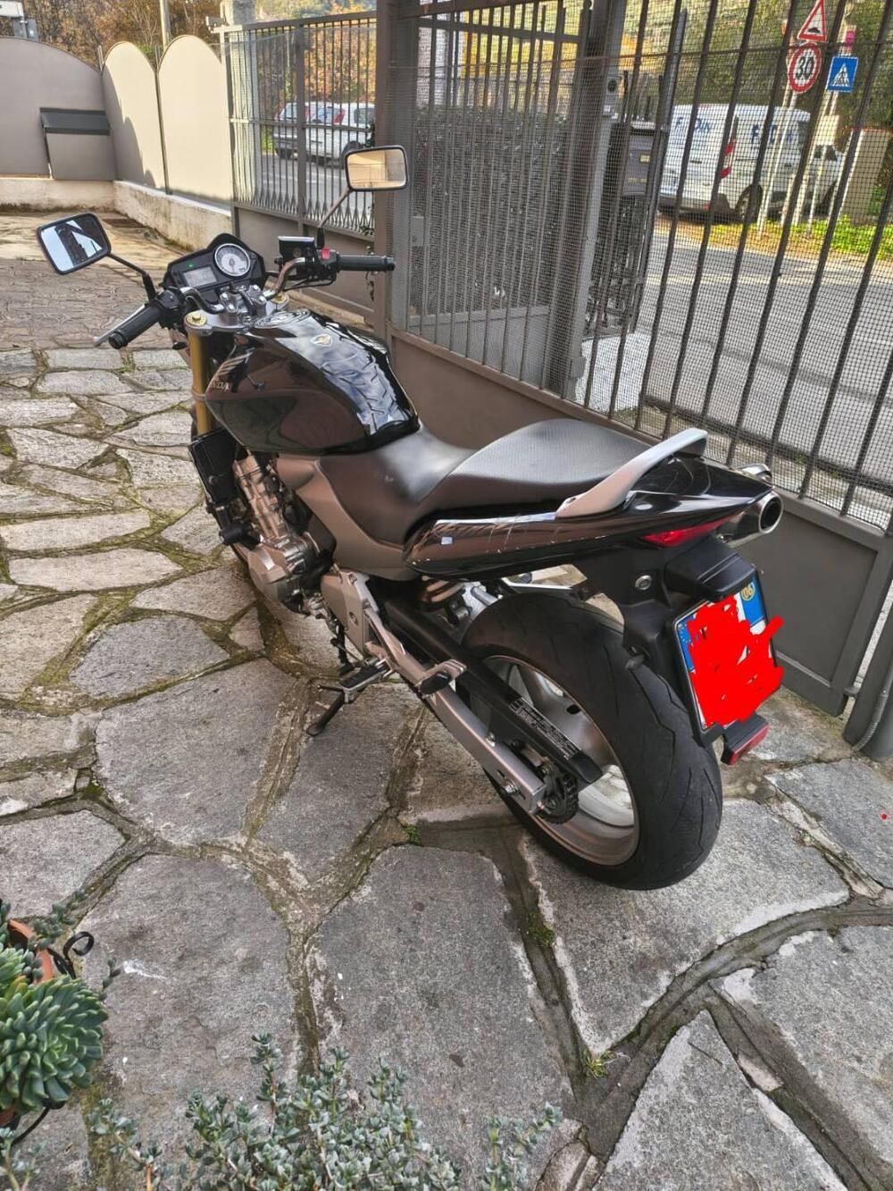 Honda Hornet 600 (2005 - 06) (4)