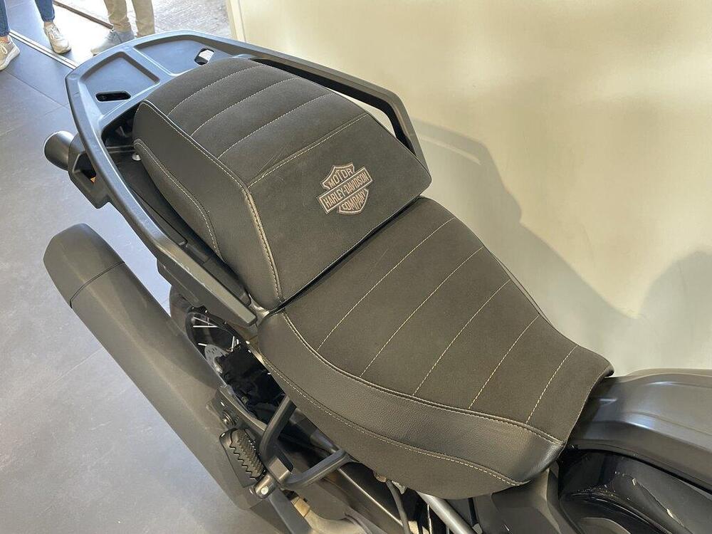 Harley-Davidson Pan America 1250 Special (2020 - 25) (6)