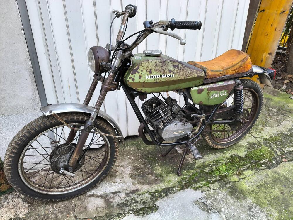 Moto Guzzi Nibbio 50 - GS (10)