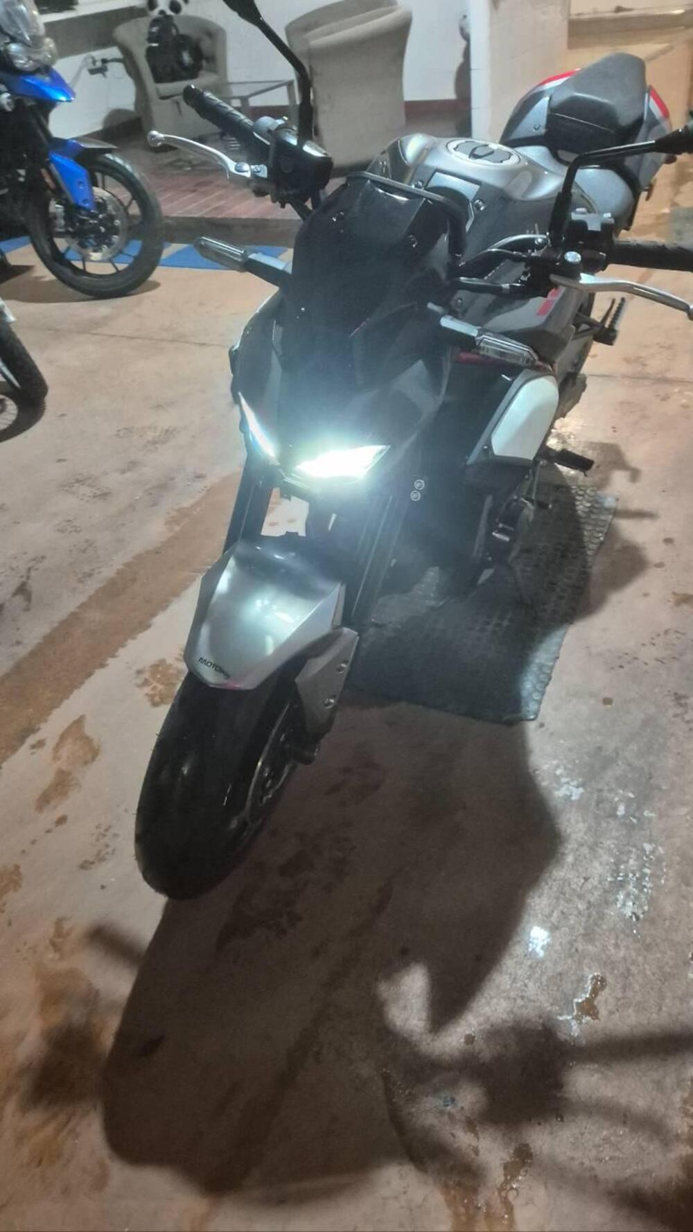 Kawasaki Z 900 (2025 - 26) (13)