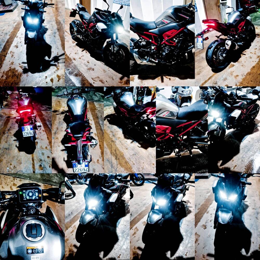 Kawasaki Z 900 (2025 - 26)