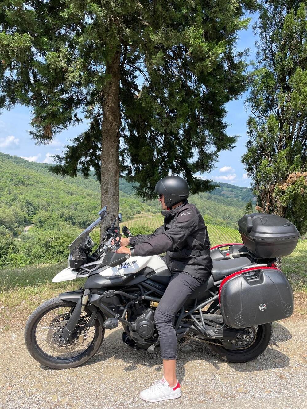 Triumph Tiger 800 XC ABS (2010 - 14) (3)