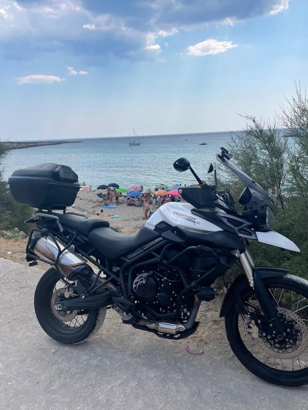 Triumph Tiger 800 XC ABS (2010 - 14) (5)