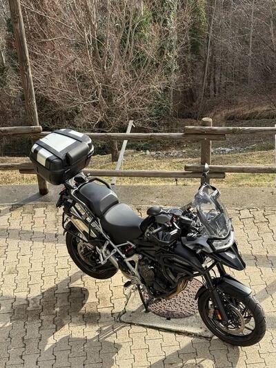 Triumph Tiger 1200 GT Pro (2022 - 23) usata