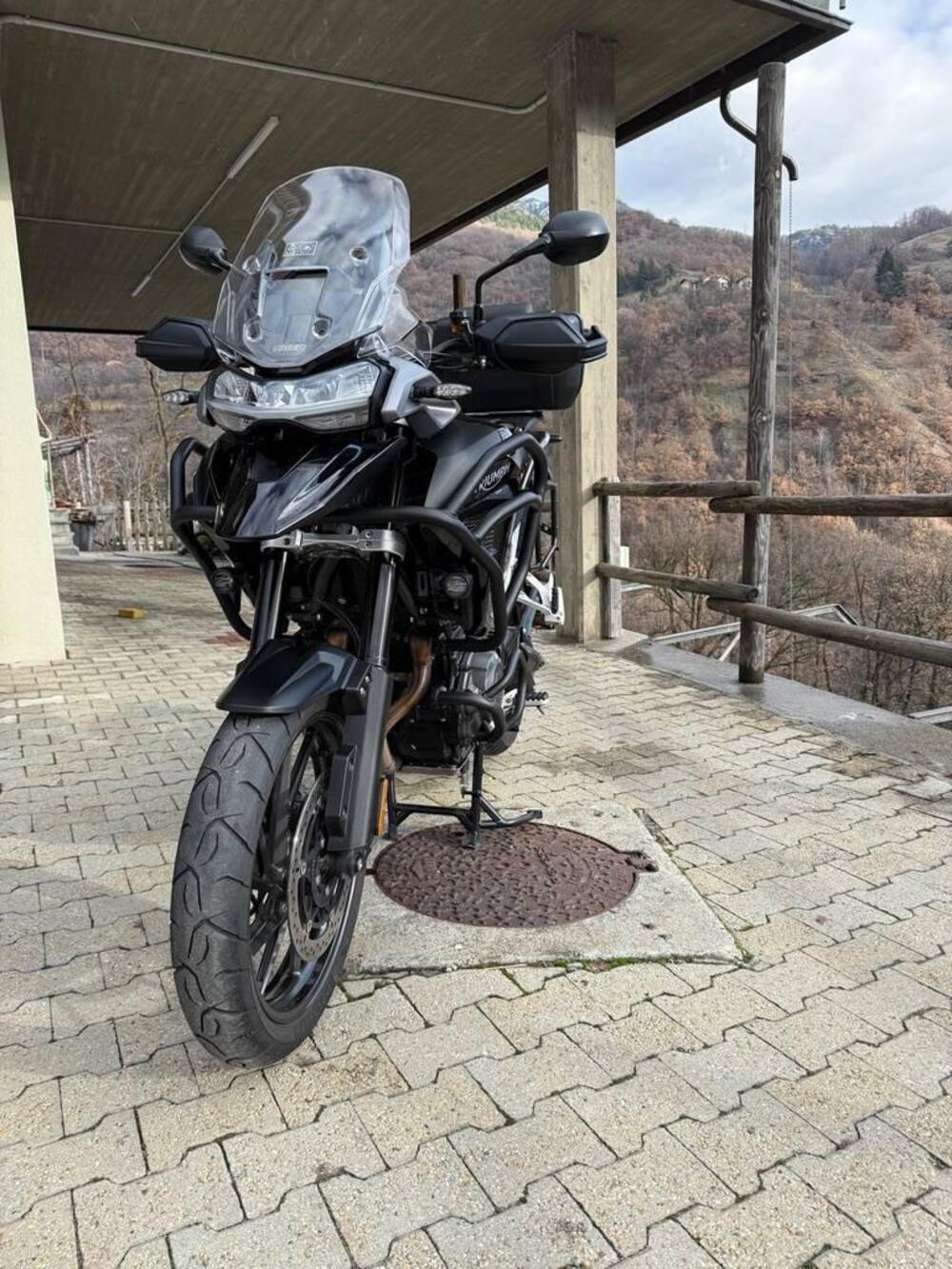 Triumph Tiger 1200 GT Pro (2022 - 23) (3)