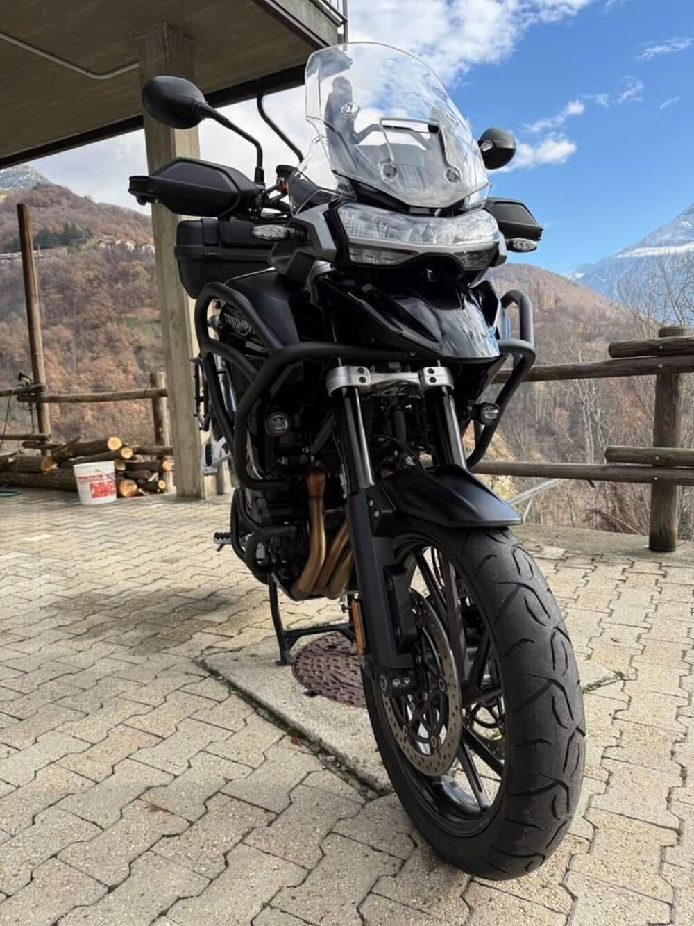 Triumph Tiger 1200 GT Pro (2022 - 23) (4)