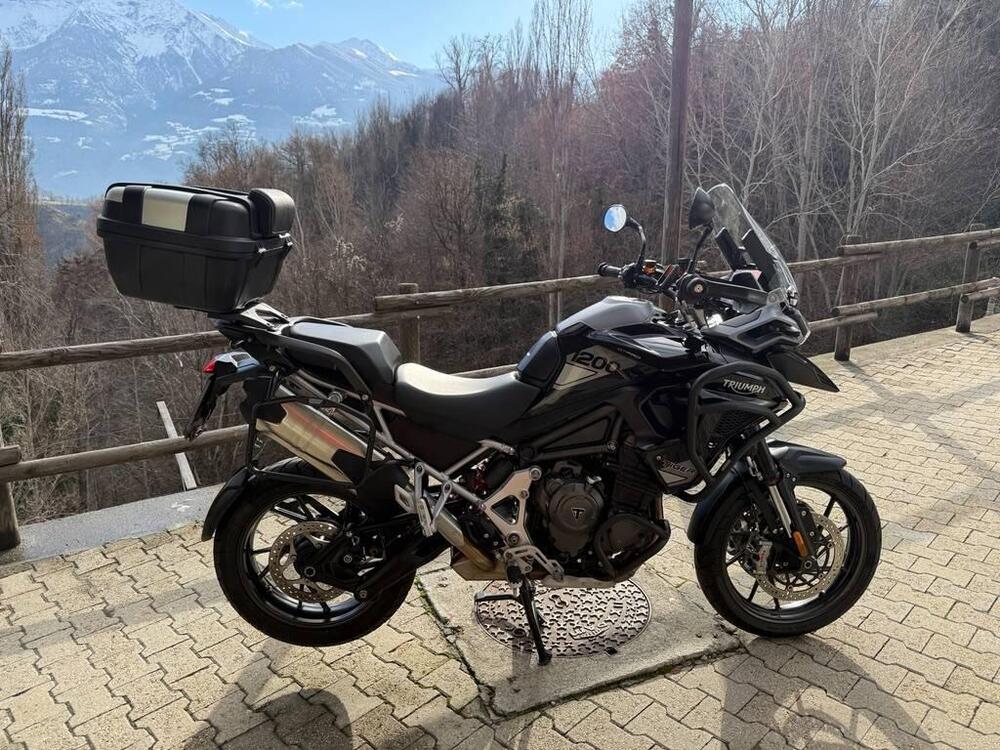 Triumph Tiger 1200 GT Pro (2022 - 23) (6)