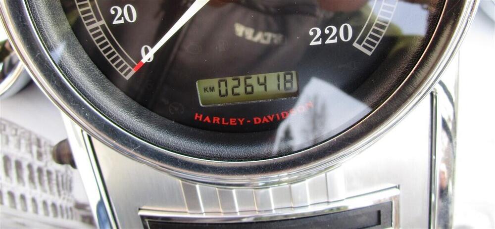 Harley-Davidson 103 Road King Classic (2014 - 16) - FLHRC (10)