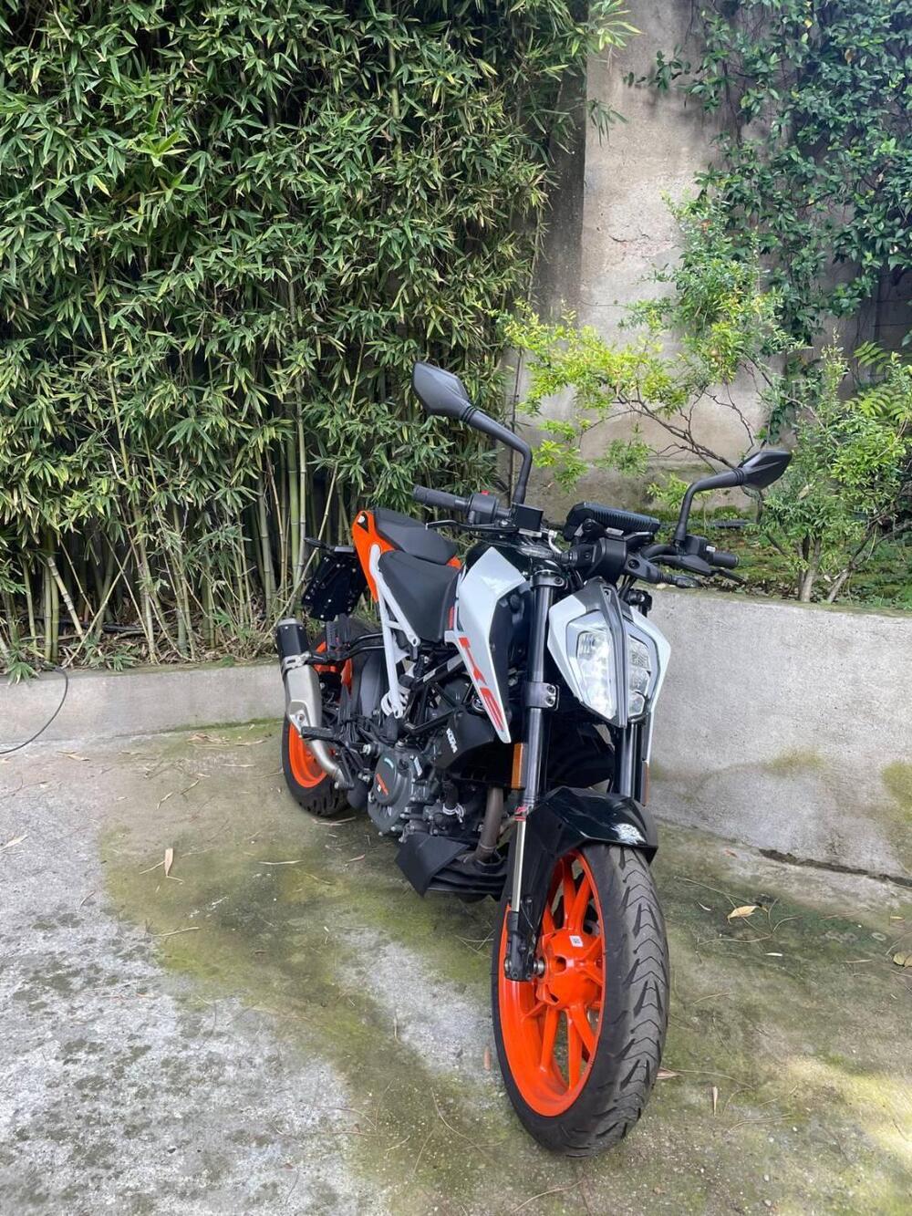 KTM 125 Duke (2024 - 26) (3)