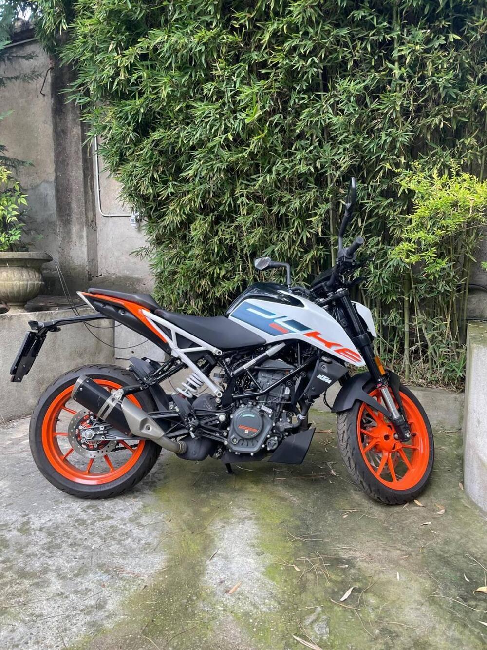 KTM 125 Duke (2024 - 26) (5)
