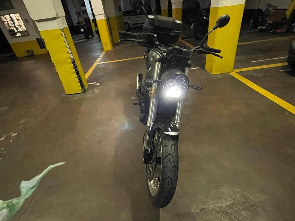 Benelli Leoncino 500 Trail (2021 - 25) (5)