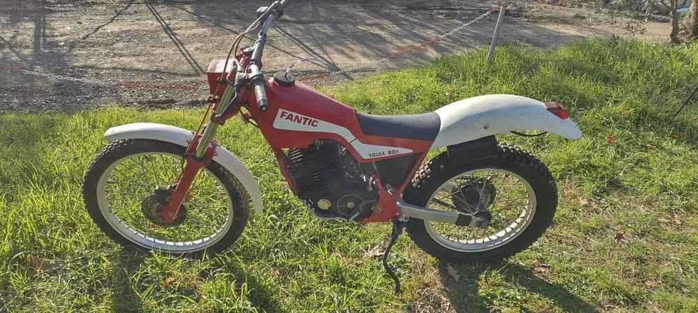 Fantic Motor Trial 301 (2)