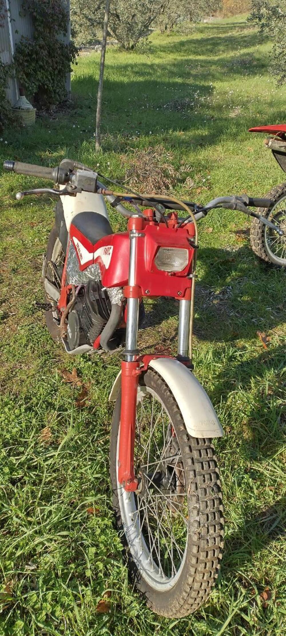 Fantic Motor Trial 301 (3)