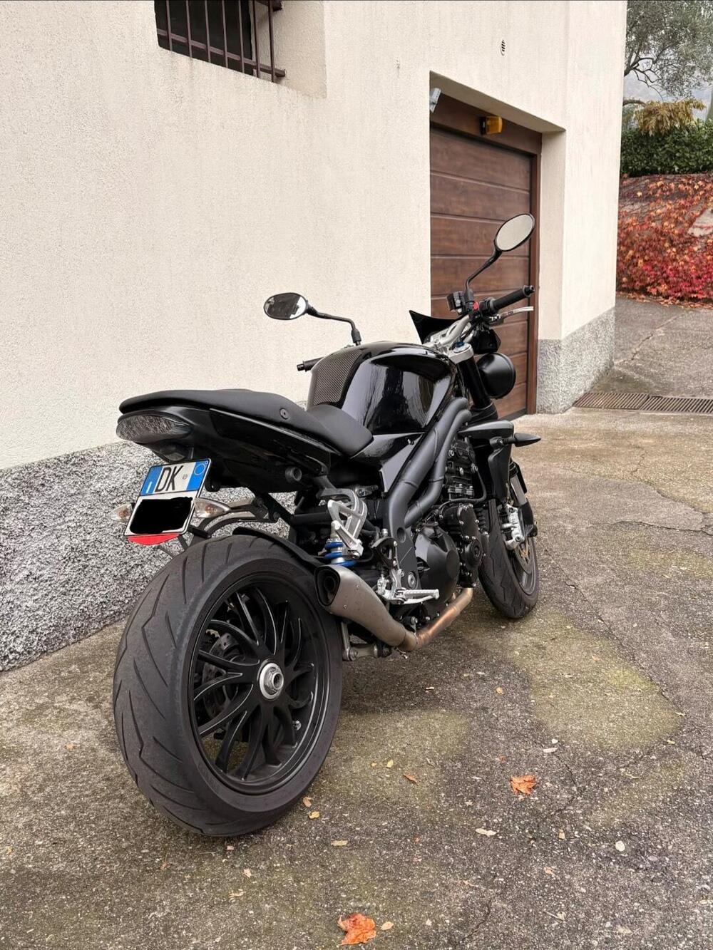 Triumph Speed Triple 1050 (2005 - 11) (3)