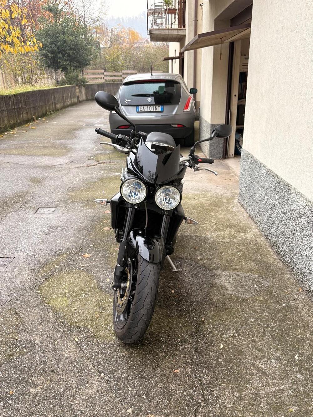 Triumph Speed Triple 1050 (2005 - 11) (4)