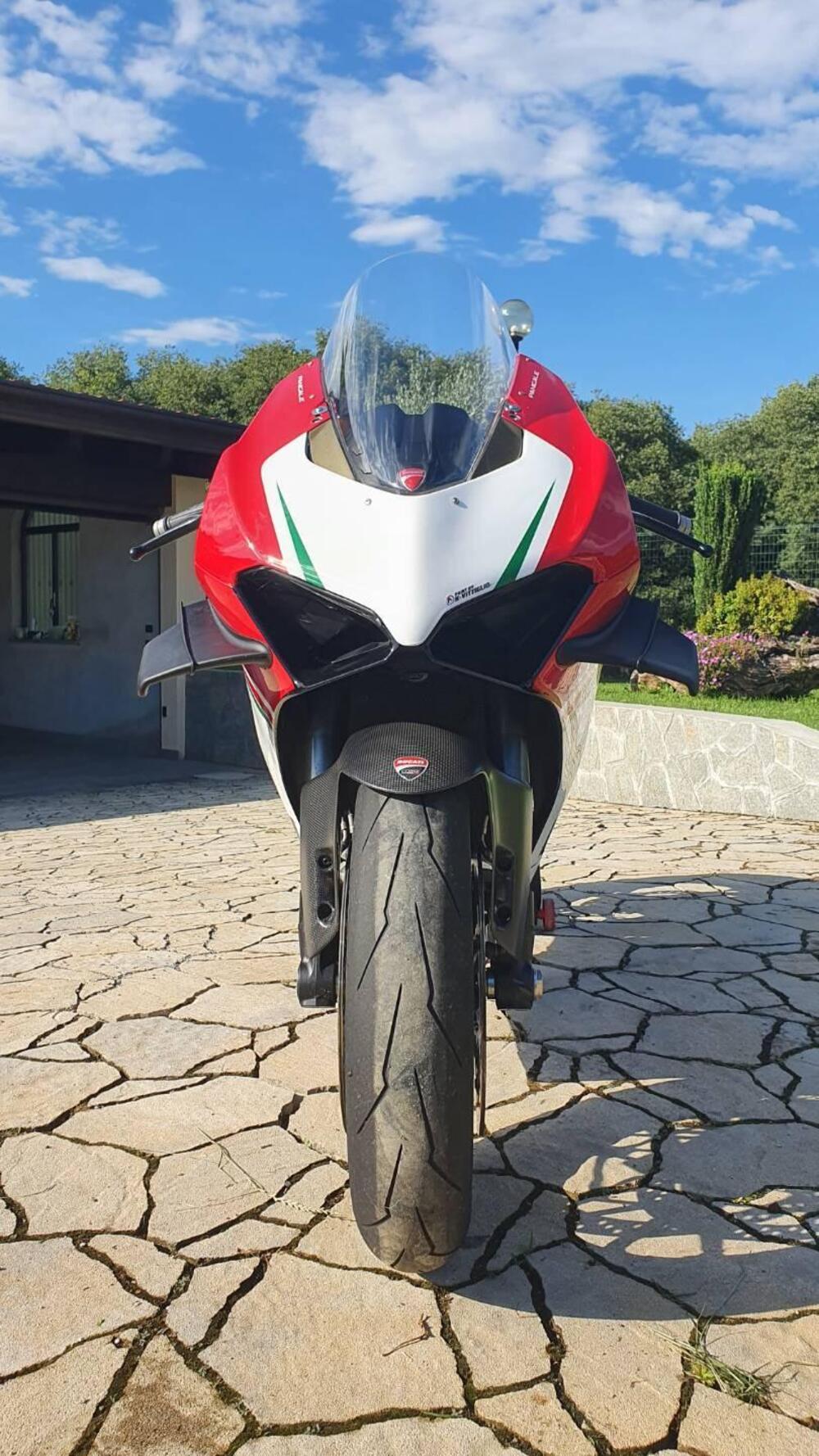 Ducati Panigale V4 1100 (2018 - 19) (8)